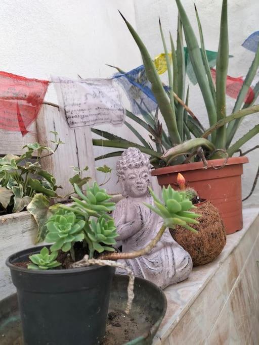 Casa Marta Lägenhet Cagliari Exteriör bild
